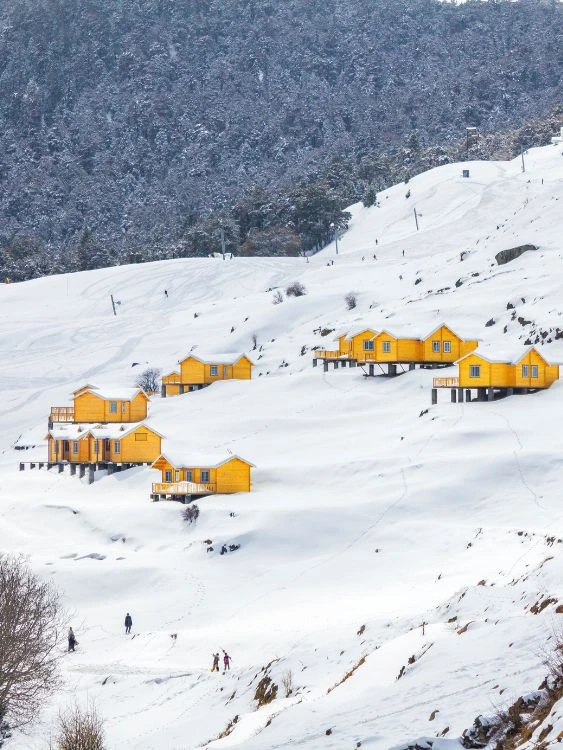 Haridwar, Auli & Rishikesh Tour Package
