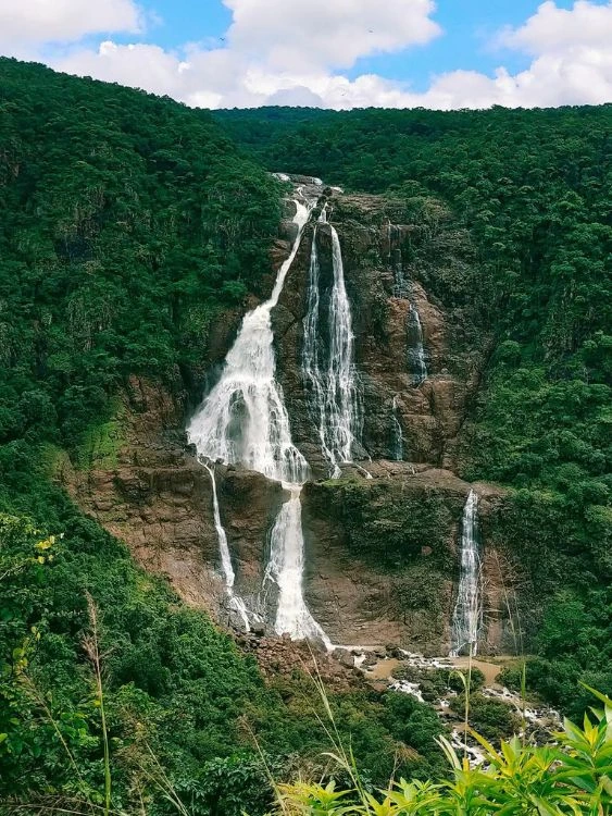 Simlipal Tour Package