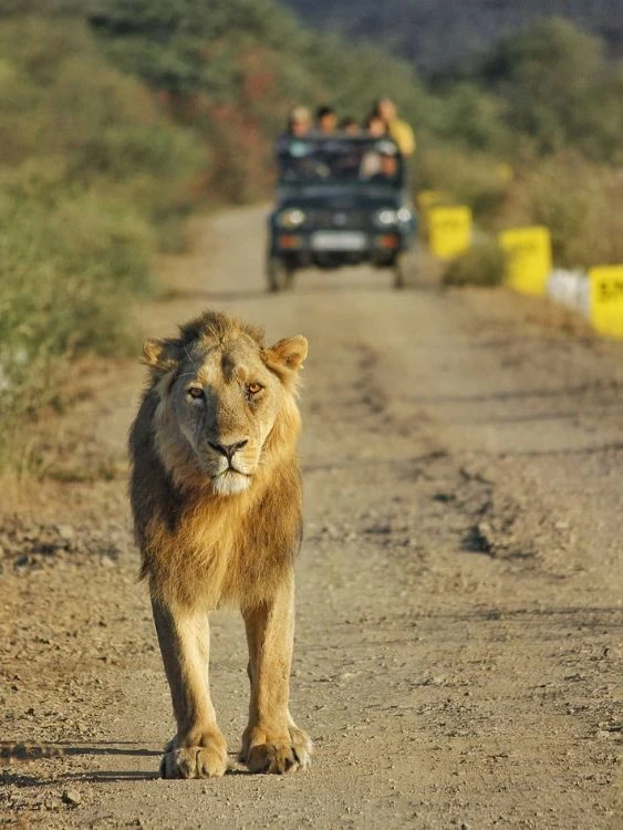 Gujarat
