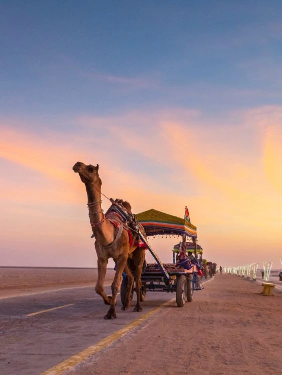 Gujarat